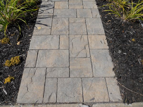 Stamped Concrete Staining in Loveland